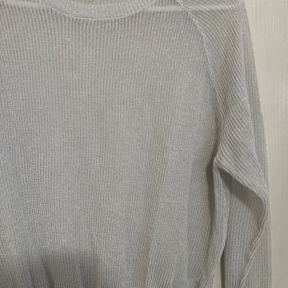 Dynamite Sparkly Long Sleeve Semi-Sheer Sweater - Picture 4 of 4